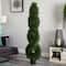 6ft. Potted Double Pond Cypress Spiral Topiary Tree